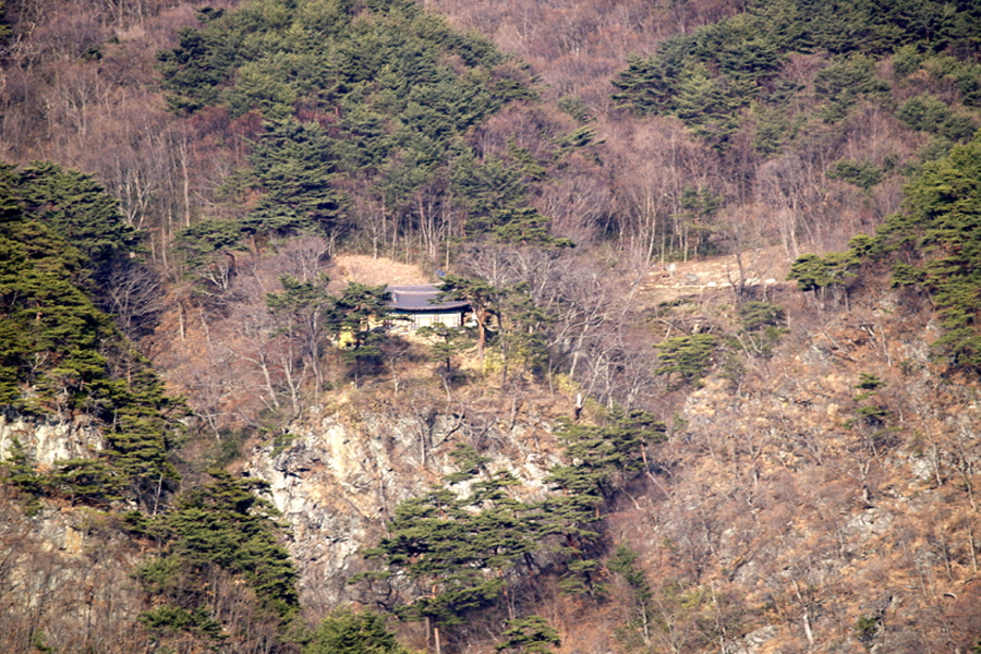 발굴] 잊혀진 고승 해기(海機)의 설법 한자락   2006/03/04 21:06  스크랩 1