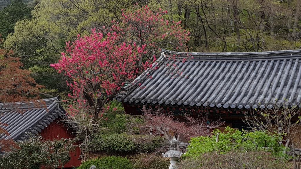 꽃세상,쌍계사