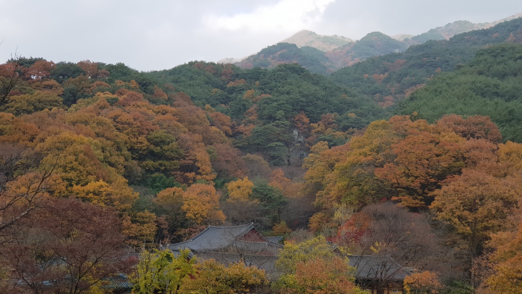 만추의 쌍계사