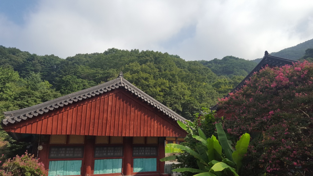성큼 다가온 가을