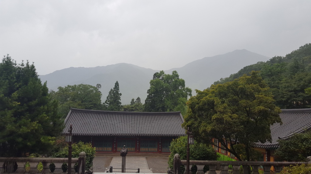 우중산책(雨中散策)