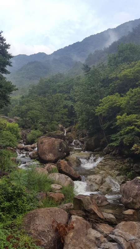 폭우 전후