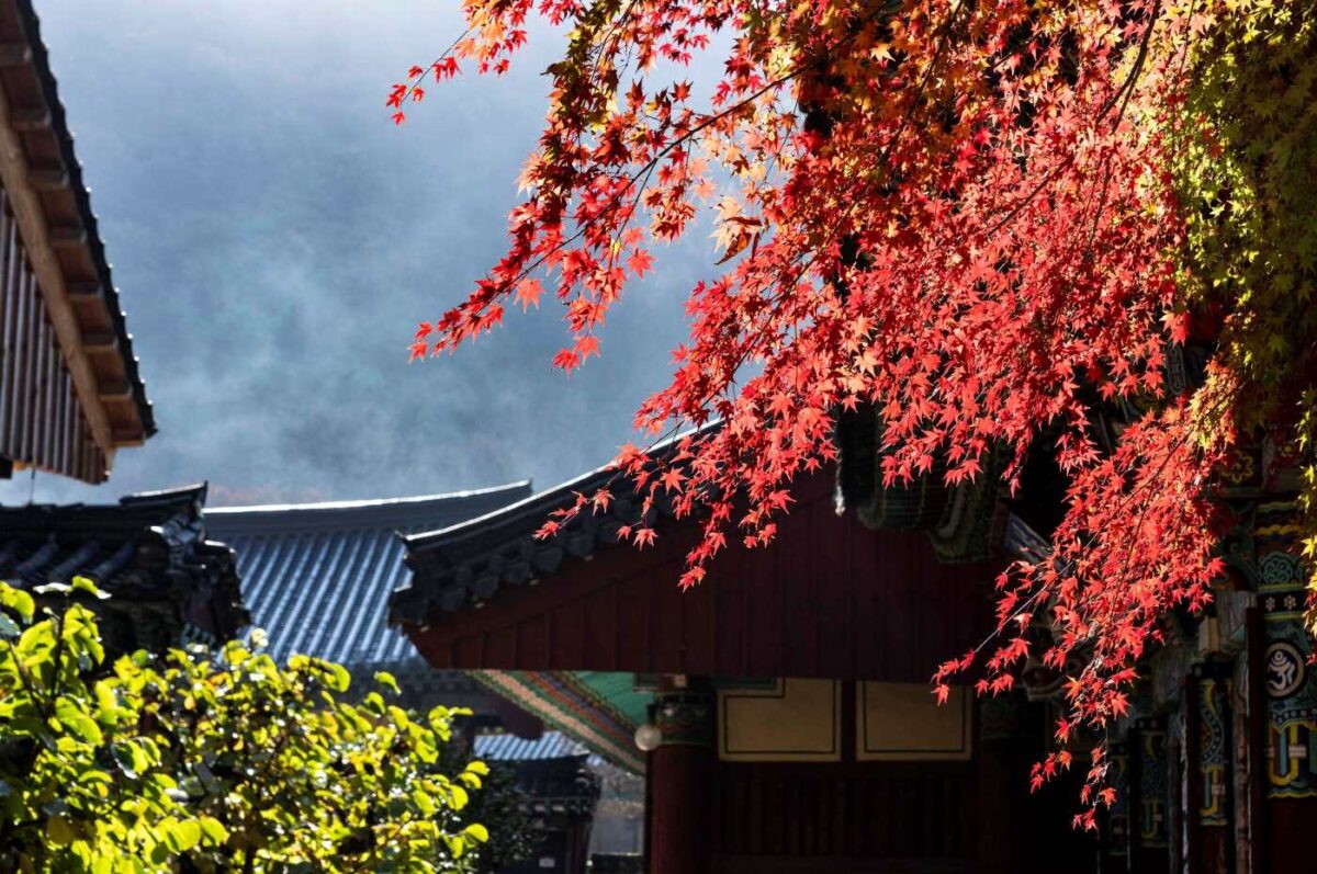 금당특별기도 회향 - 금당