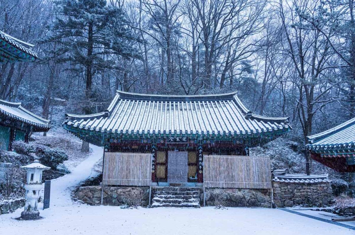 금당권역 눈 풍경