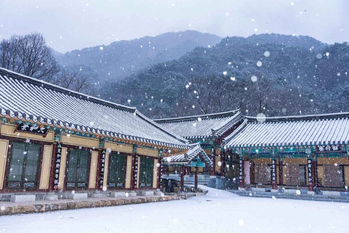 대웅전 권역 눈 풍경