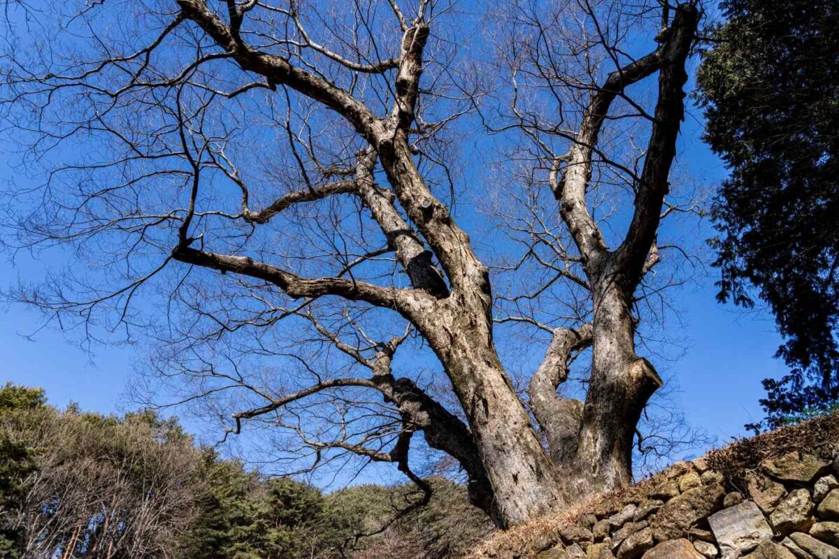 국사암 풍경과 삼재소멸 불공 및 경내풍경