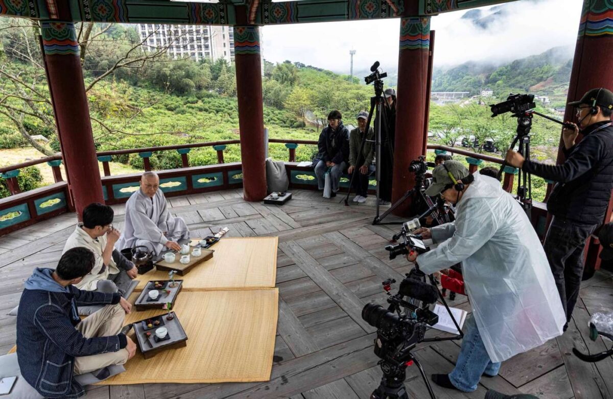 경내풍경과 차나무시배지 TV조선 촬영