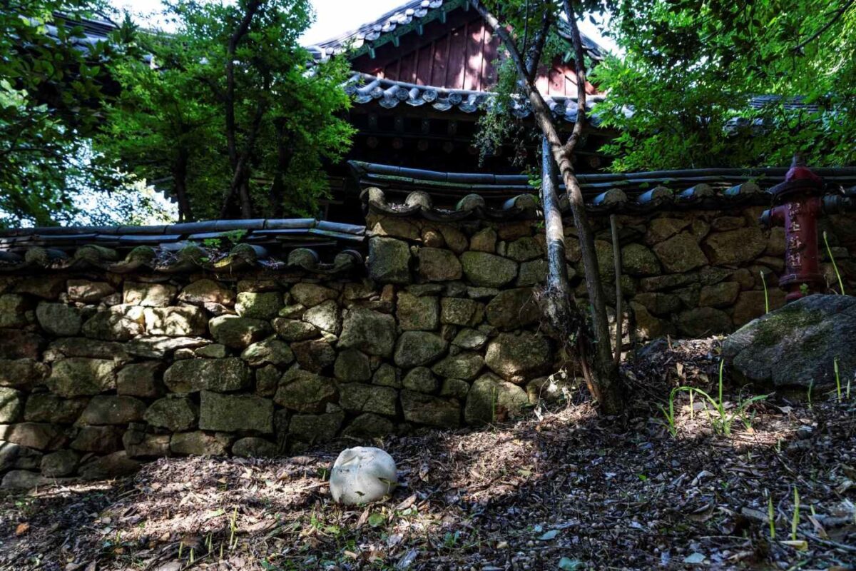 경내풍경
