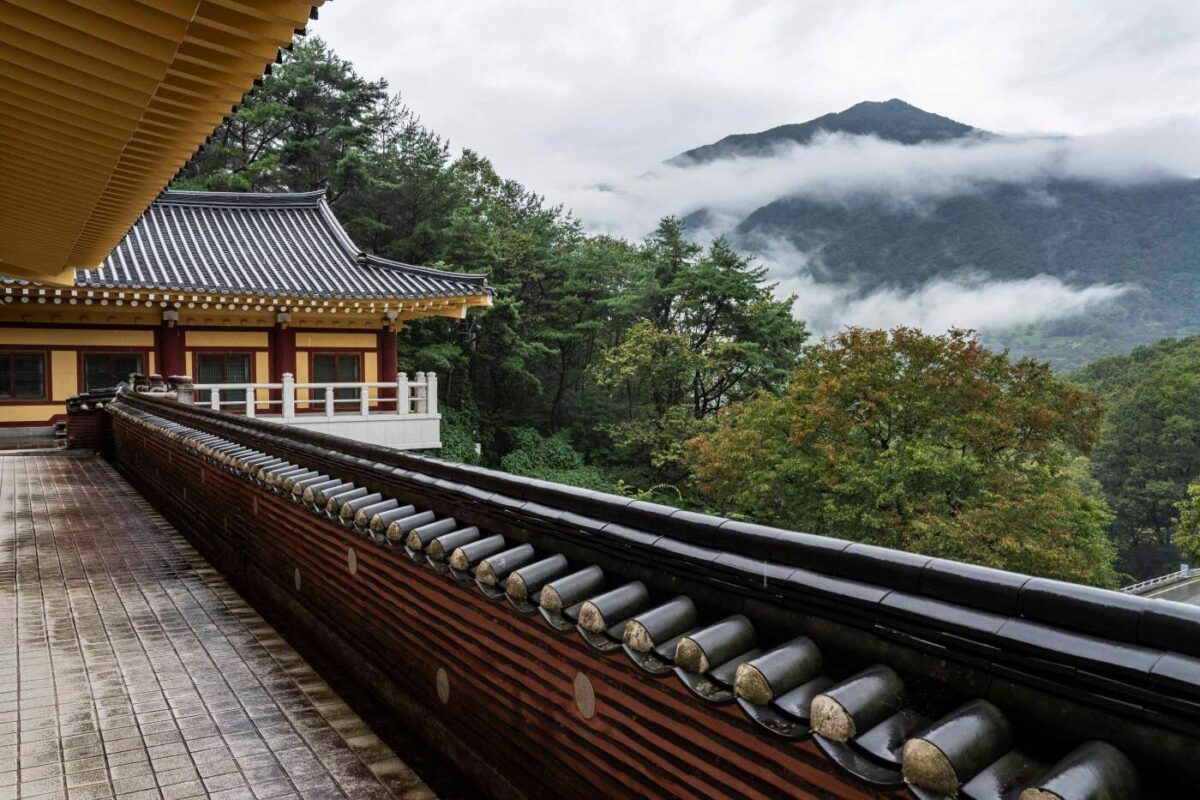 비오는 날 경내풍경