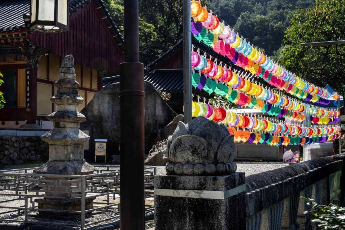 경내풍경