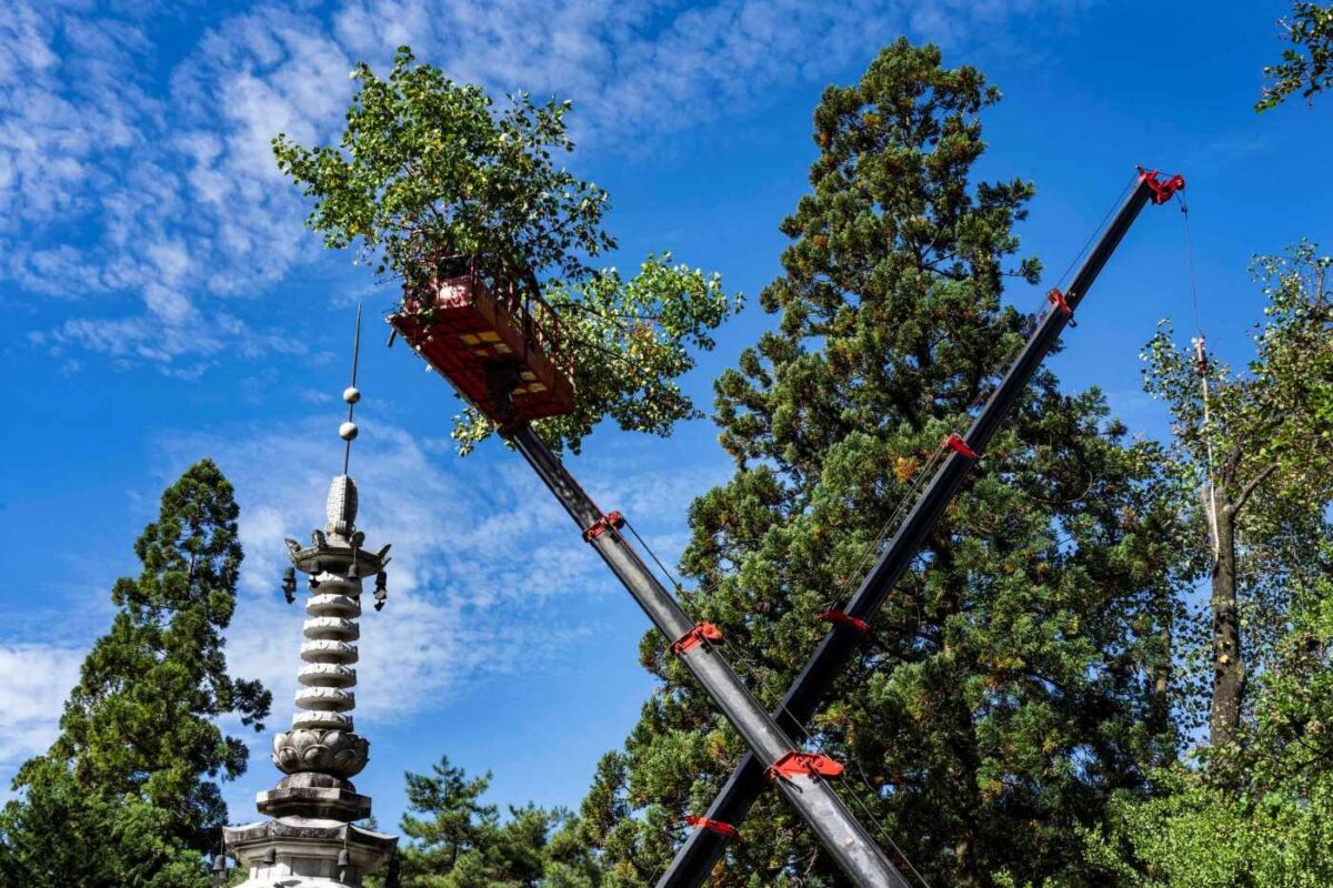 경내풍경