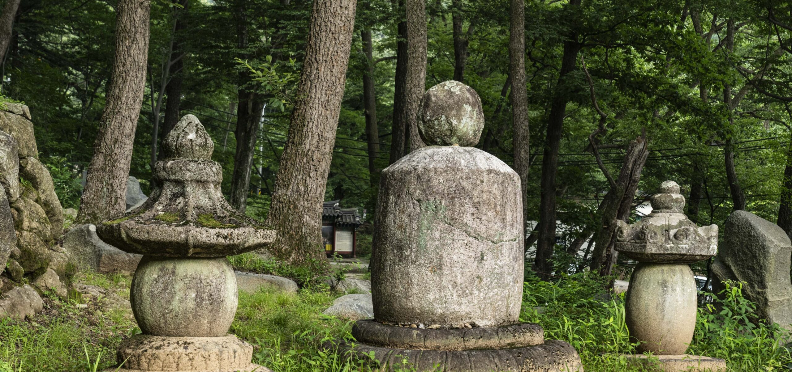 부도전