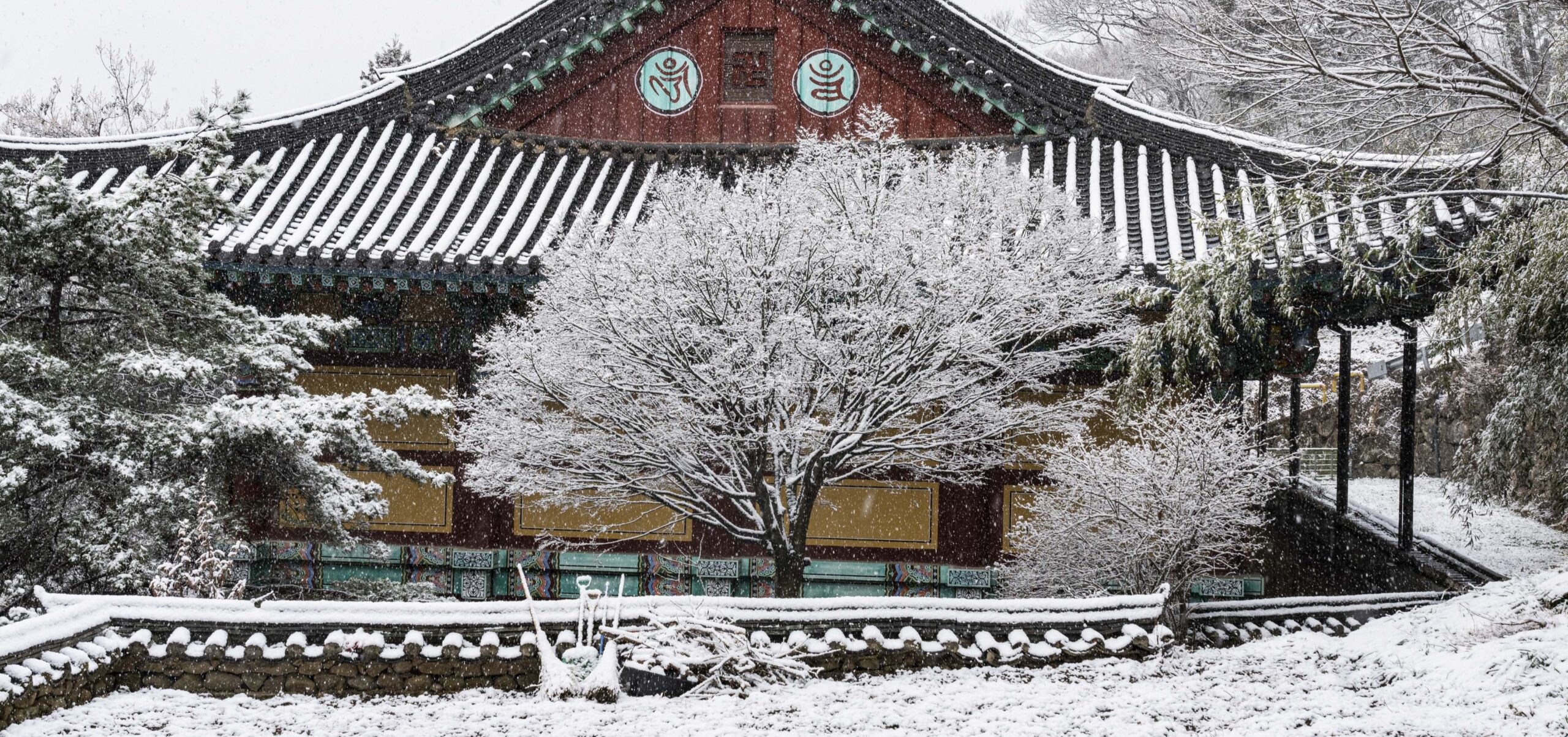 성보전