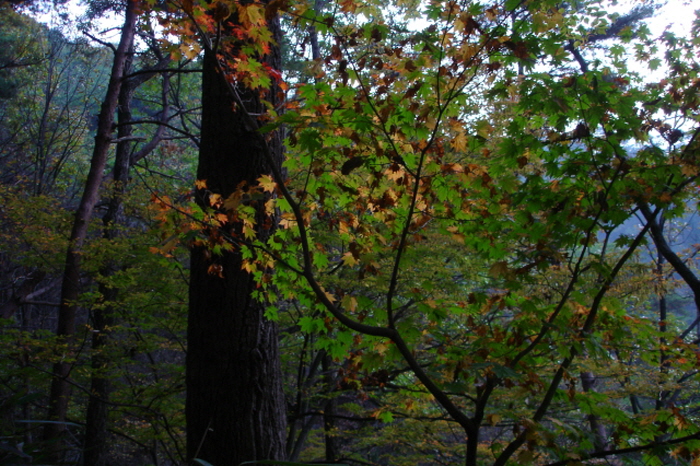 크기변환_사진 088.jpg