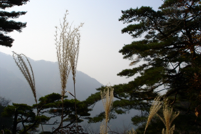 크기변환_사진 124.jpg