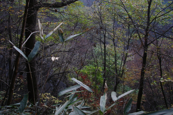 크기변환_사진 085.jpg