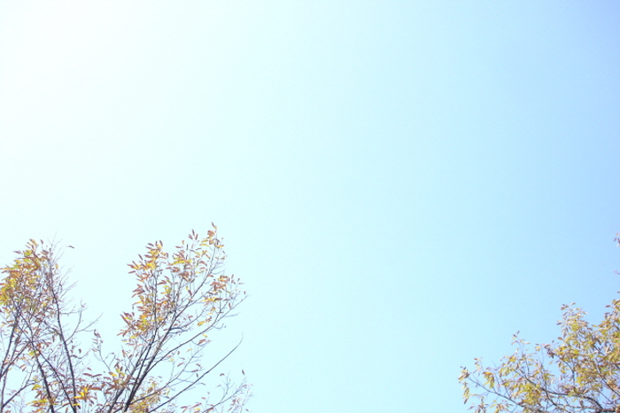 크기변환_사진 120.jpg