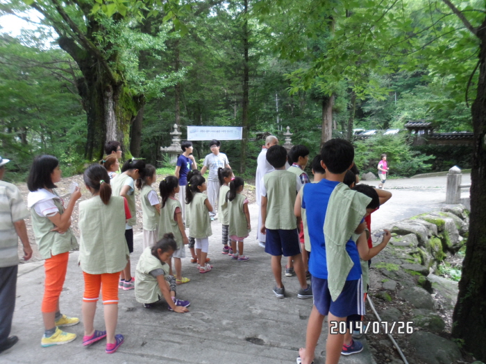 140726(2) 쌍계사 여름 어린이 한문학당01.JPG