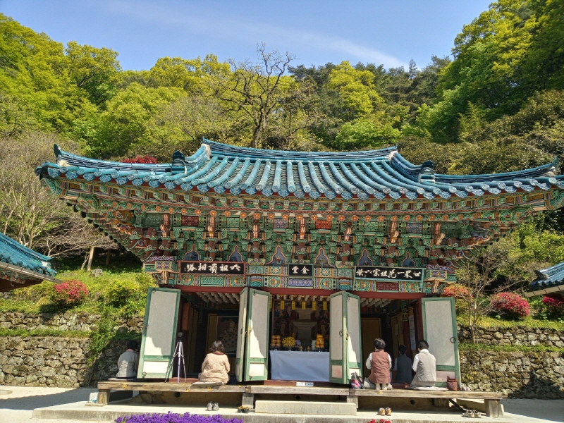 금당 특별7일기도 입재