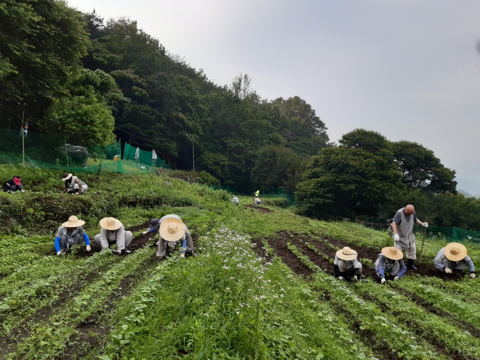 쌍계사로 장 맛 보러 오세요