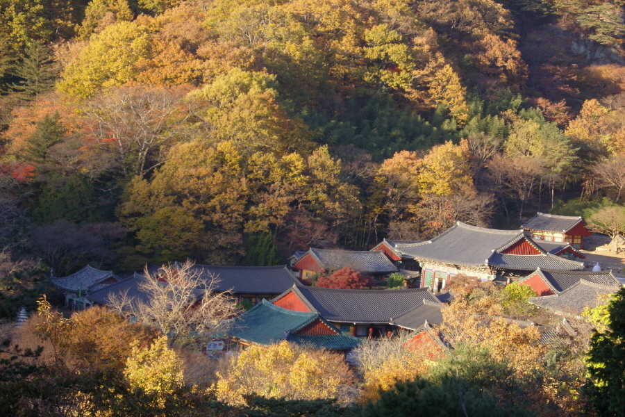 쌍계사 전경