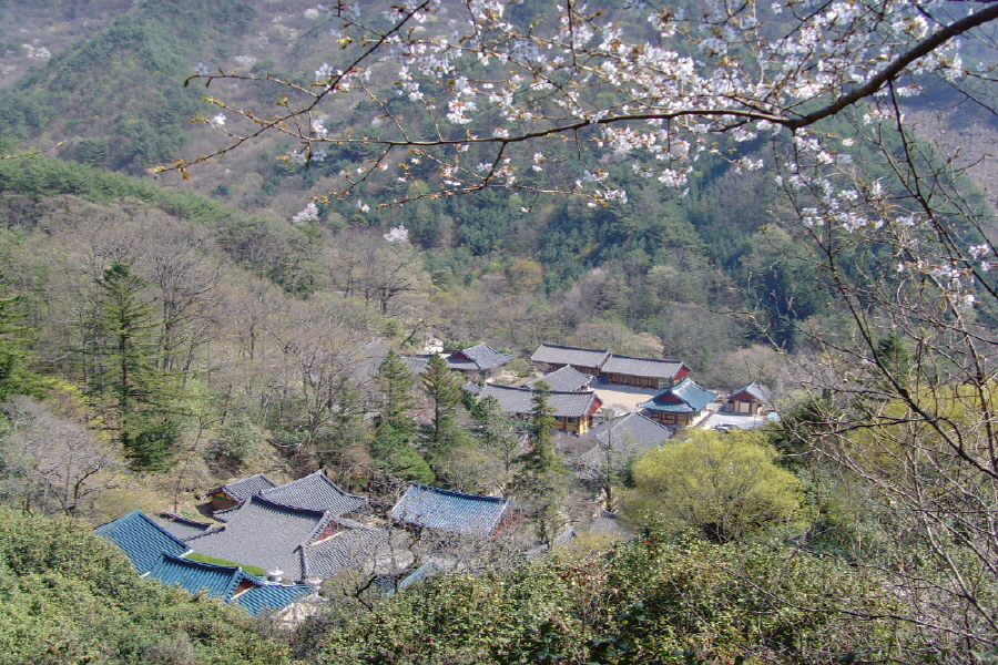 금당에서 본 쌍계사...@@