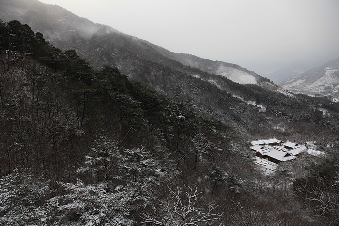 쌍계사 설경