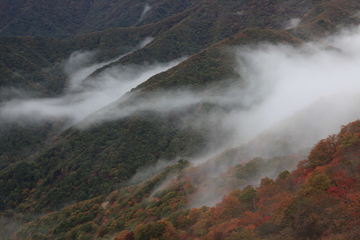 지리산 운해