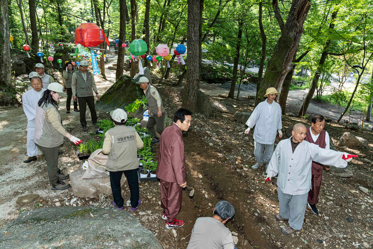 부도전 꽃나무 심기 - 국립공원 관리공단과 함께