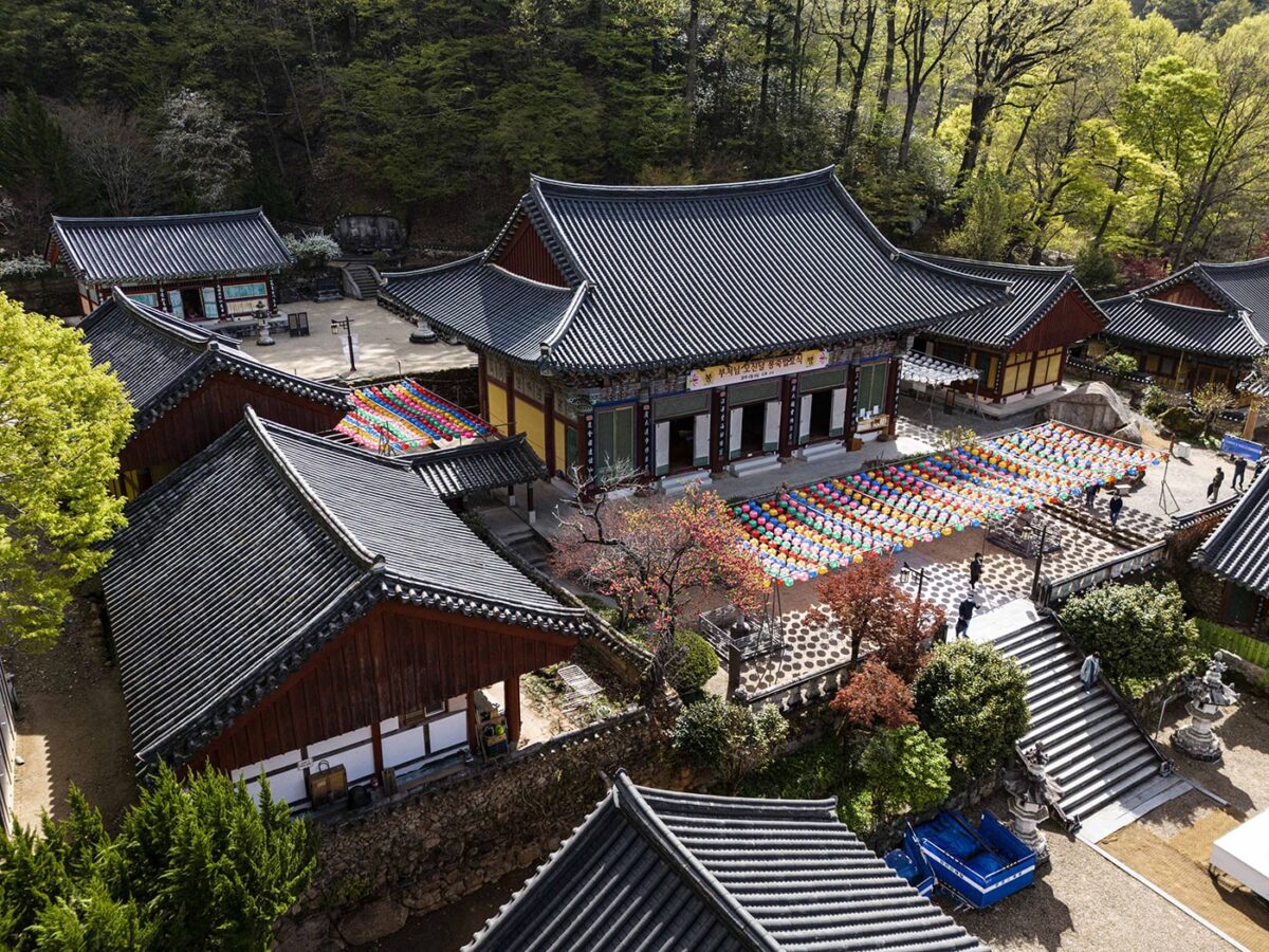 경내풍경