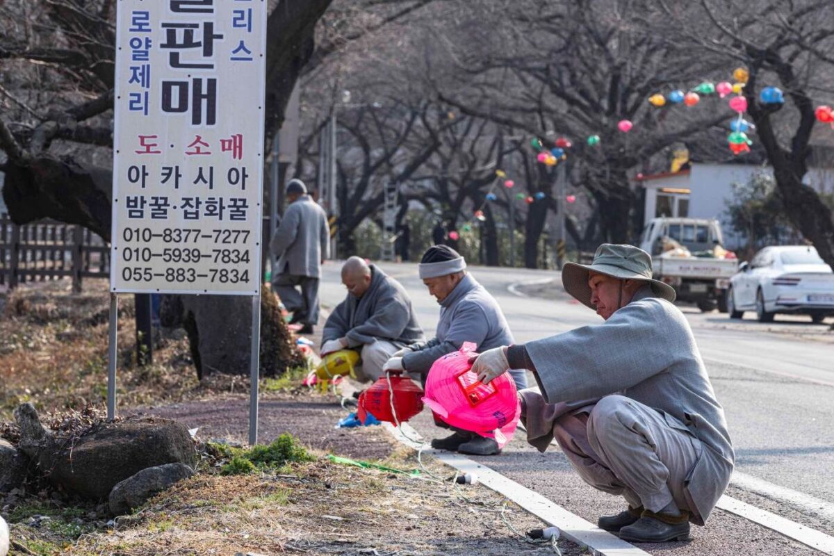 경내풍경 - 연등 달기 울력