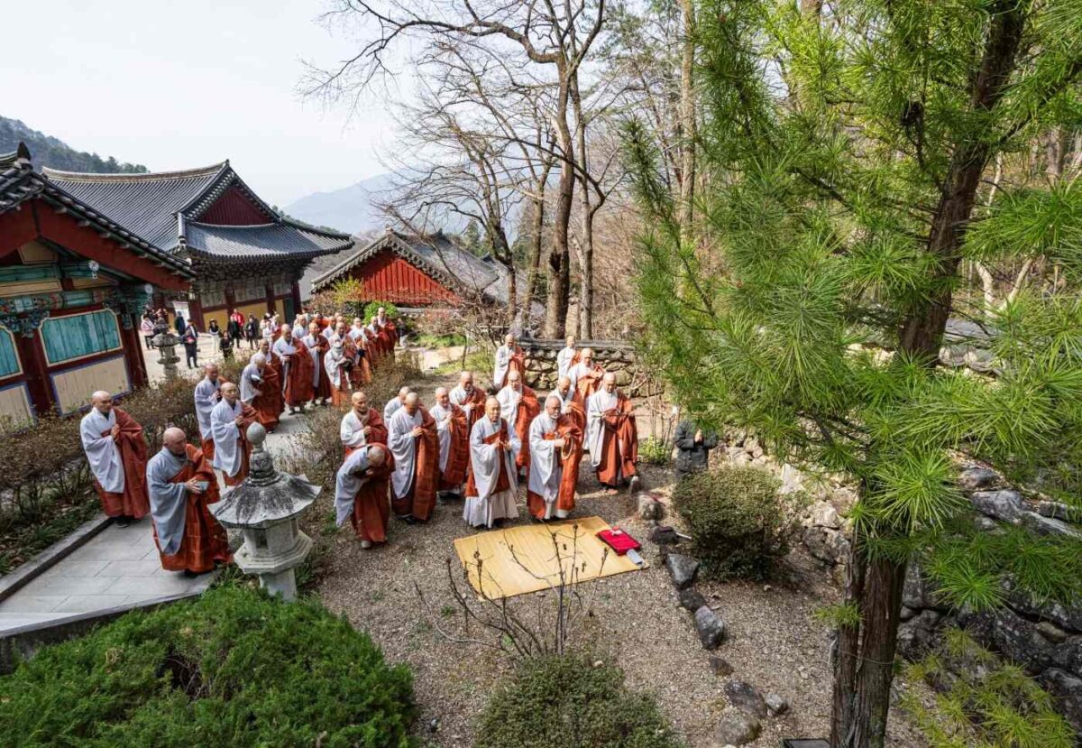 고산대선사 열반다례 - 고산나무 참배 다례