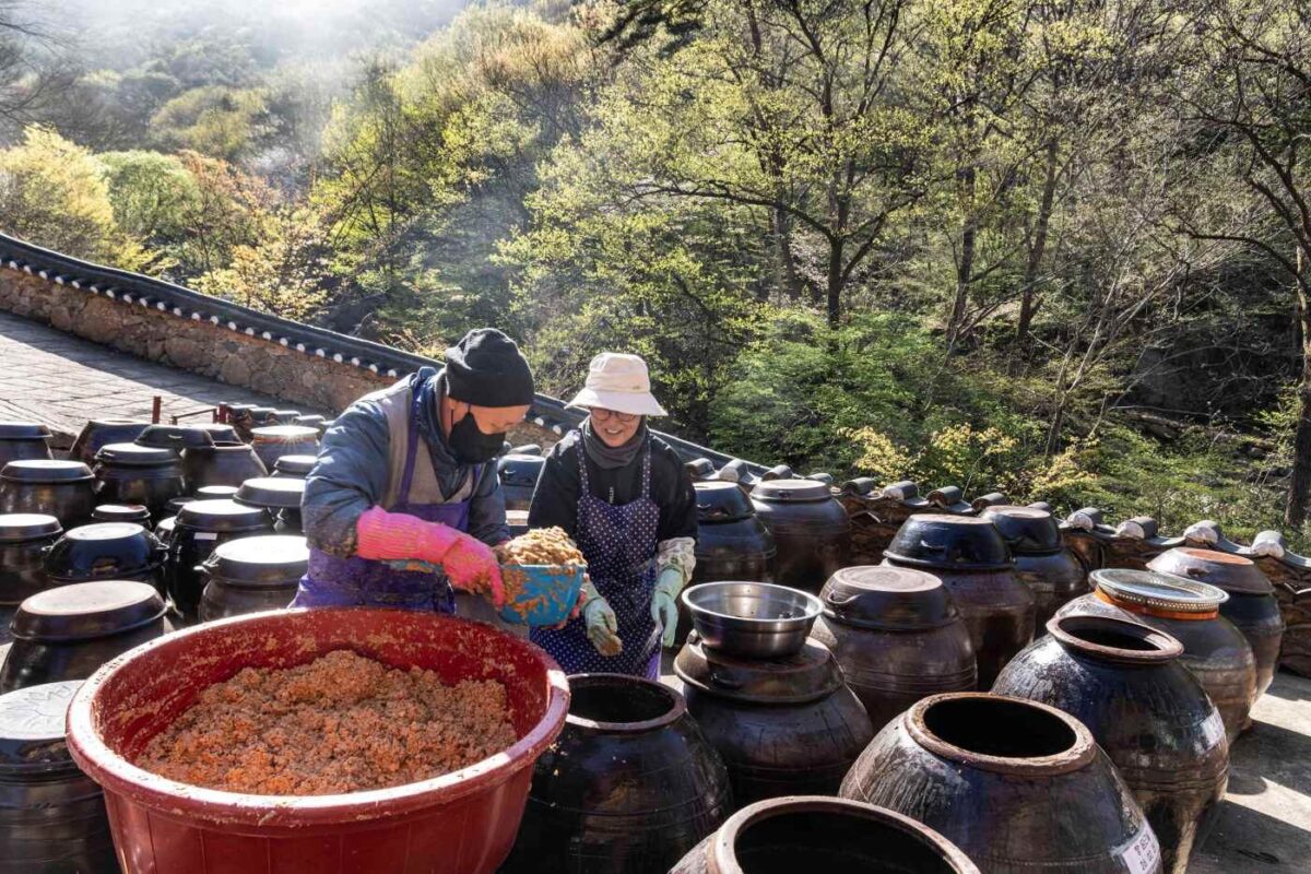 장 가르기와 된장 담기 울력