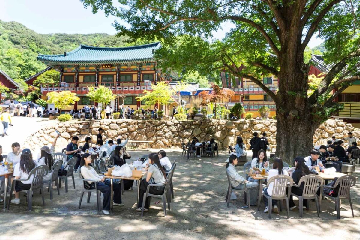 디카시를 만나다-학생 점심 도시락