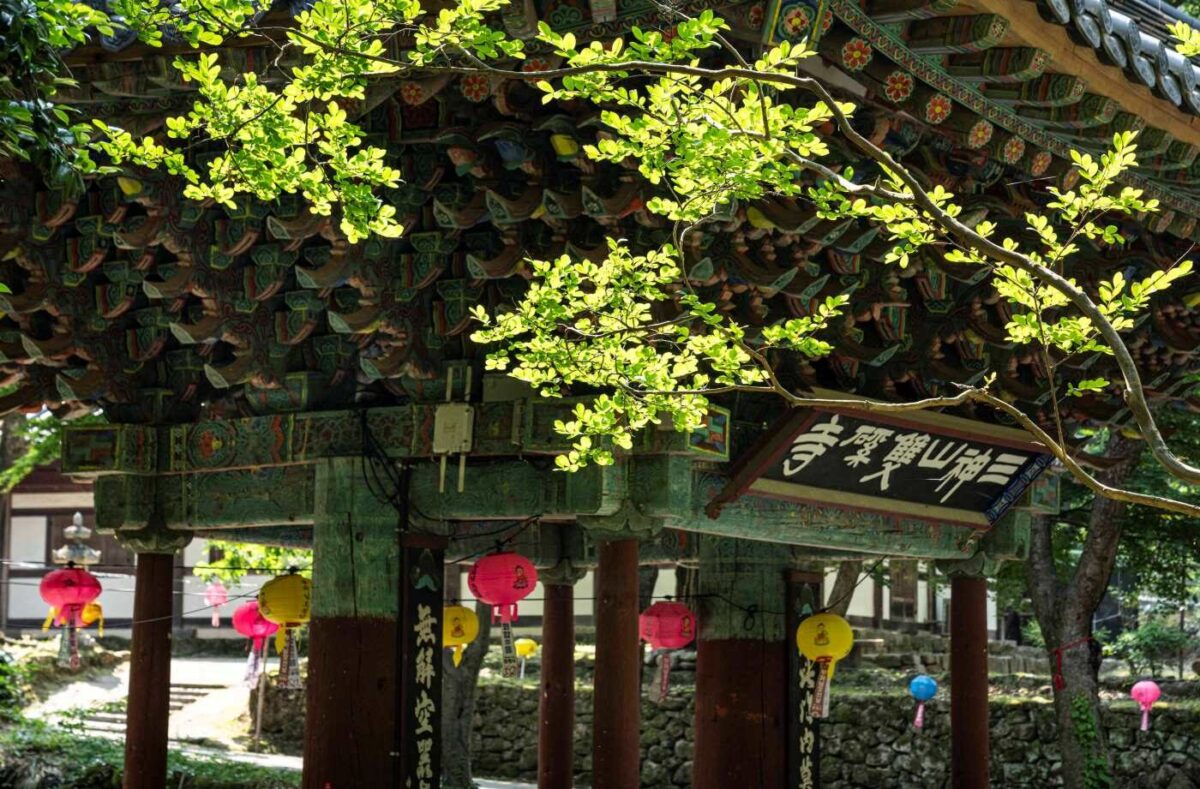 경내풍경