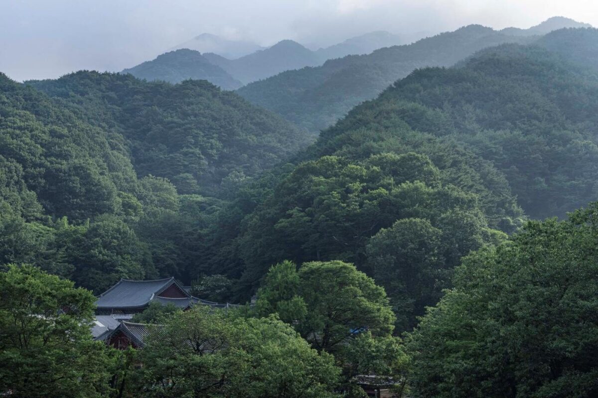 경내풍경