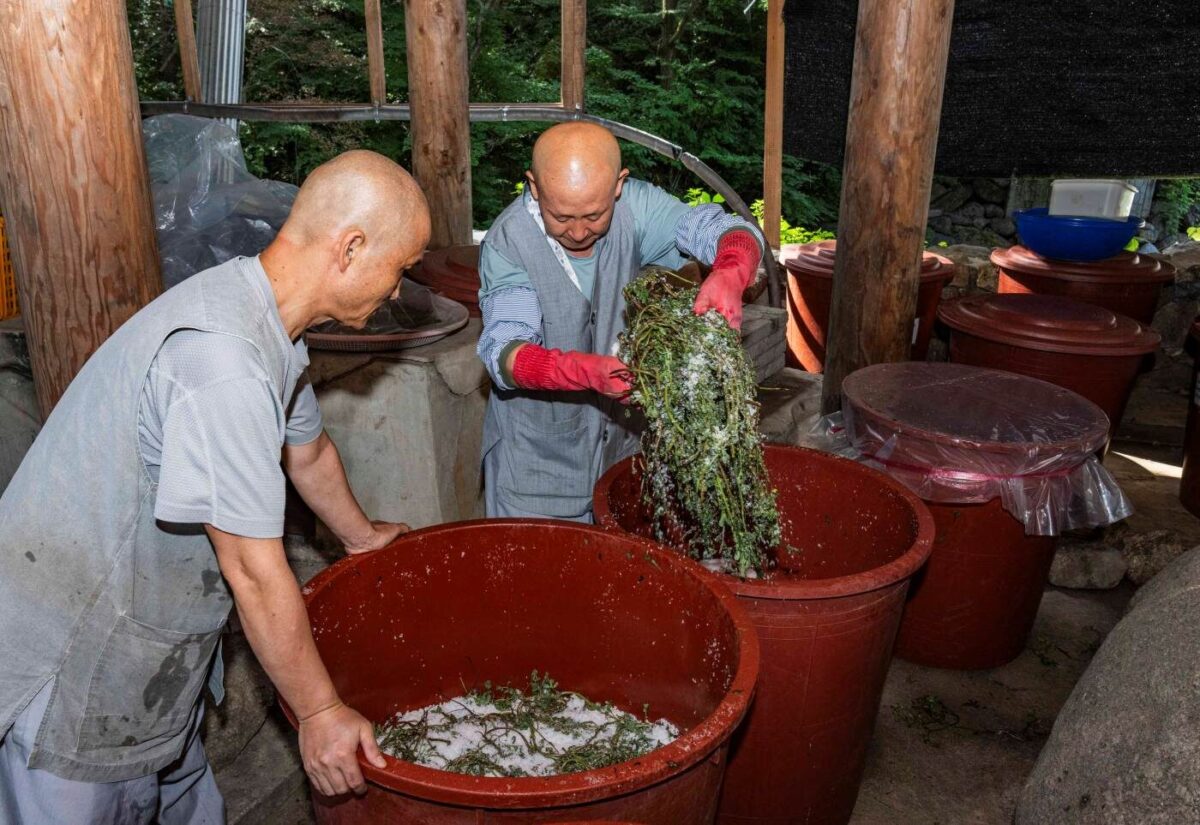 경내풍경