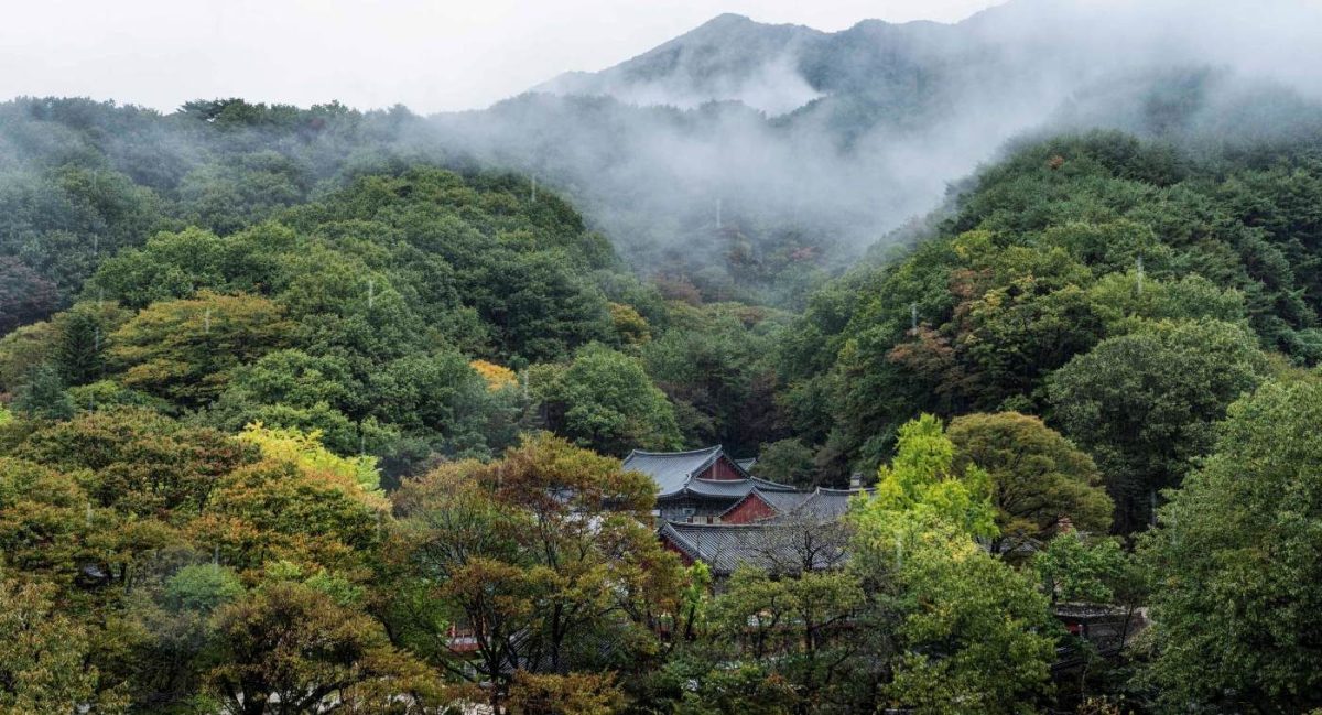 산신기도 입재 및 비오는 경내풍경